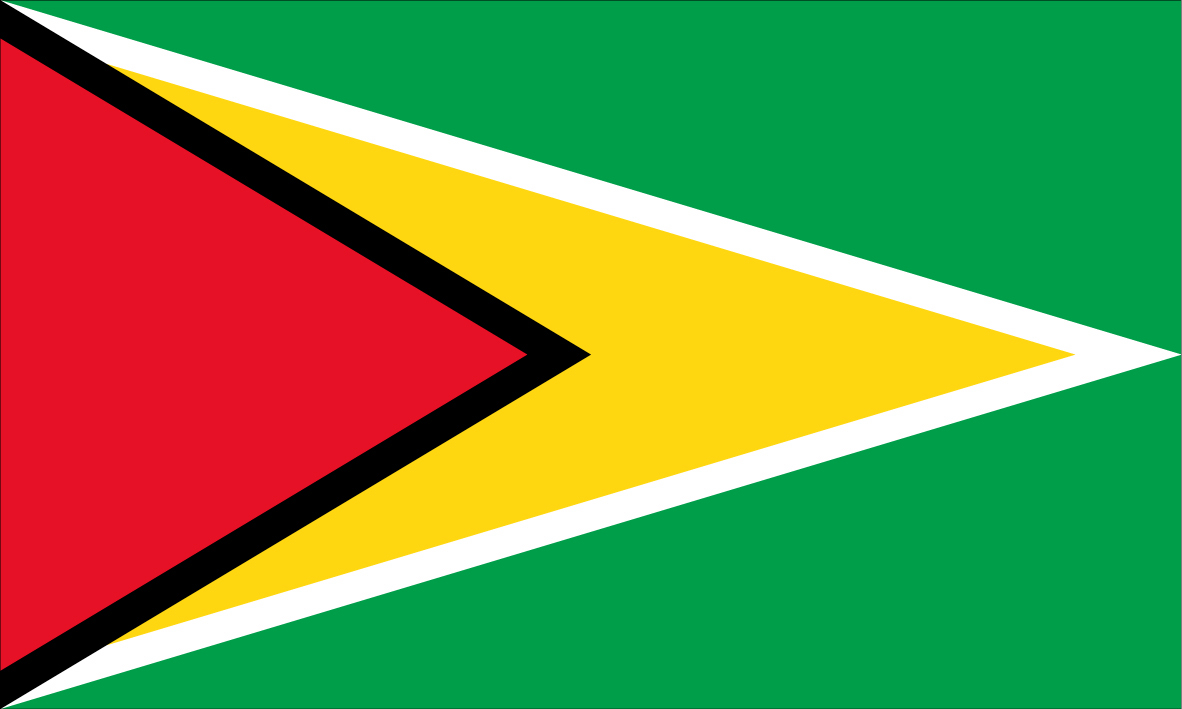 Bandeira Guiana