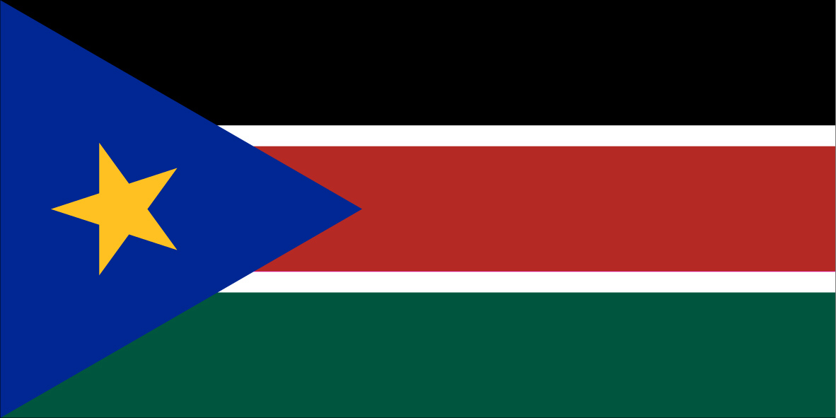 Bandeira Sudao do Sul