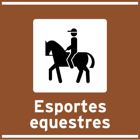 Esportes equestres
